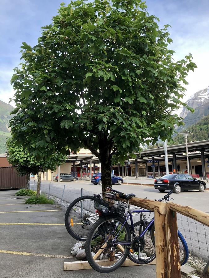 Hotel Crystal Engelberg Eksteriør billede